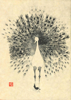 花岡大学 仏典童話全集