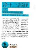 浄土三部経 (下) 【岩波文庫 青306-2】